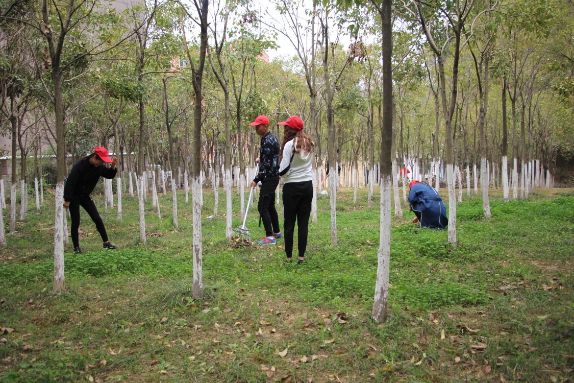 2018040222353033.jpg 2018040222353033.jpg